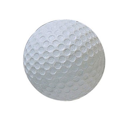 Champion Sports 1.75 in. Rhino Skin Molded Foam Golf Ball, White RSGB